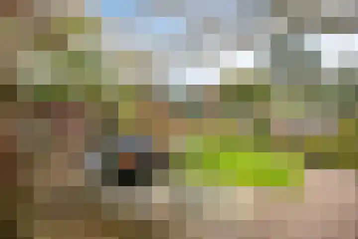 Icaruslaan 28 Eindhoven thumbnail 4