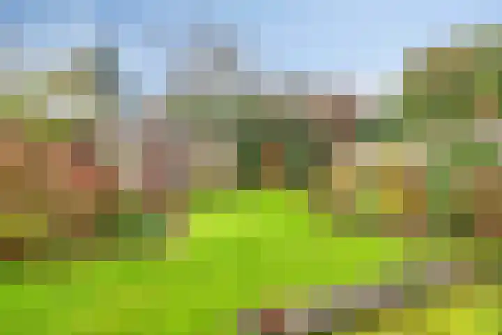 Icaruslaan 28 Eindhoven thumbnail 40