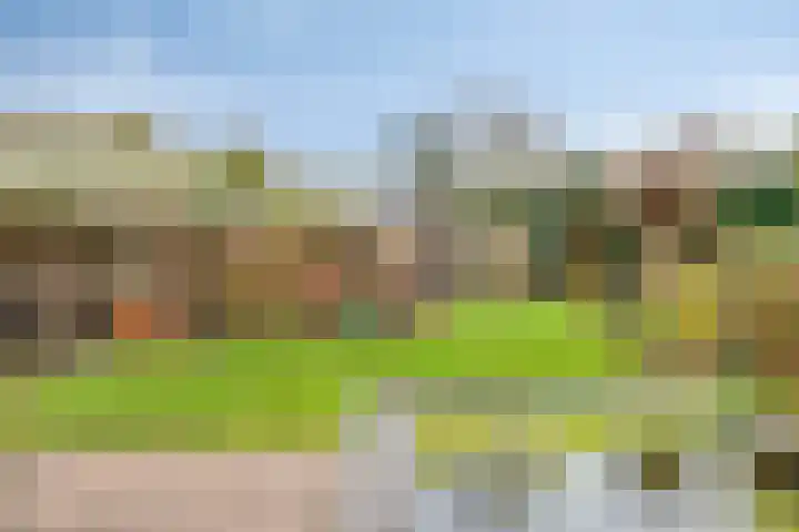 Icaruslaan 28 Eindhoven thumbnail 41