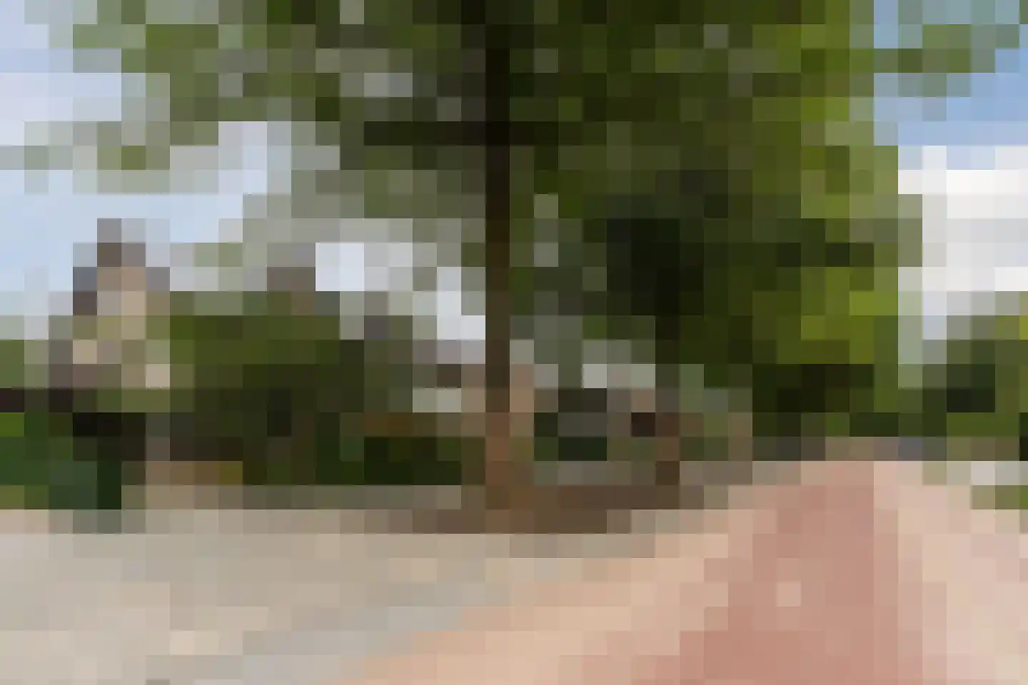 Icaruslaan 5 Eindhoven thumbnail 6