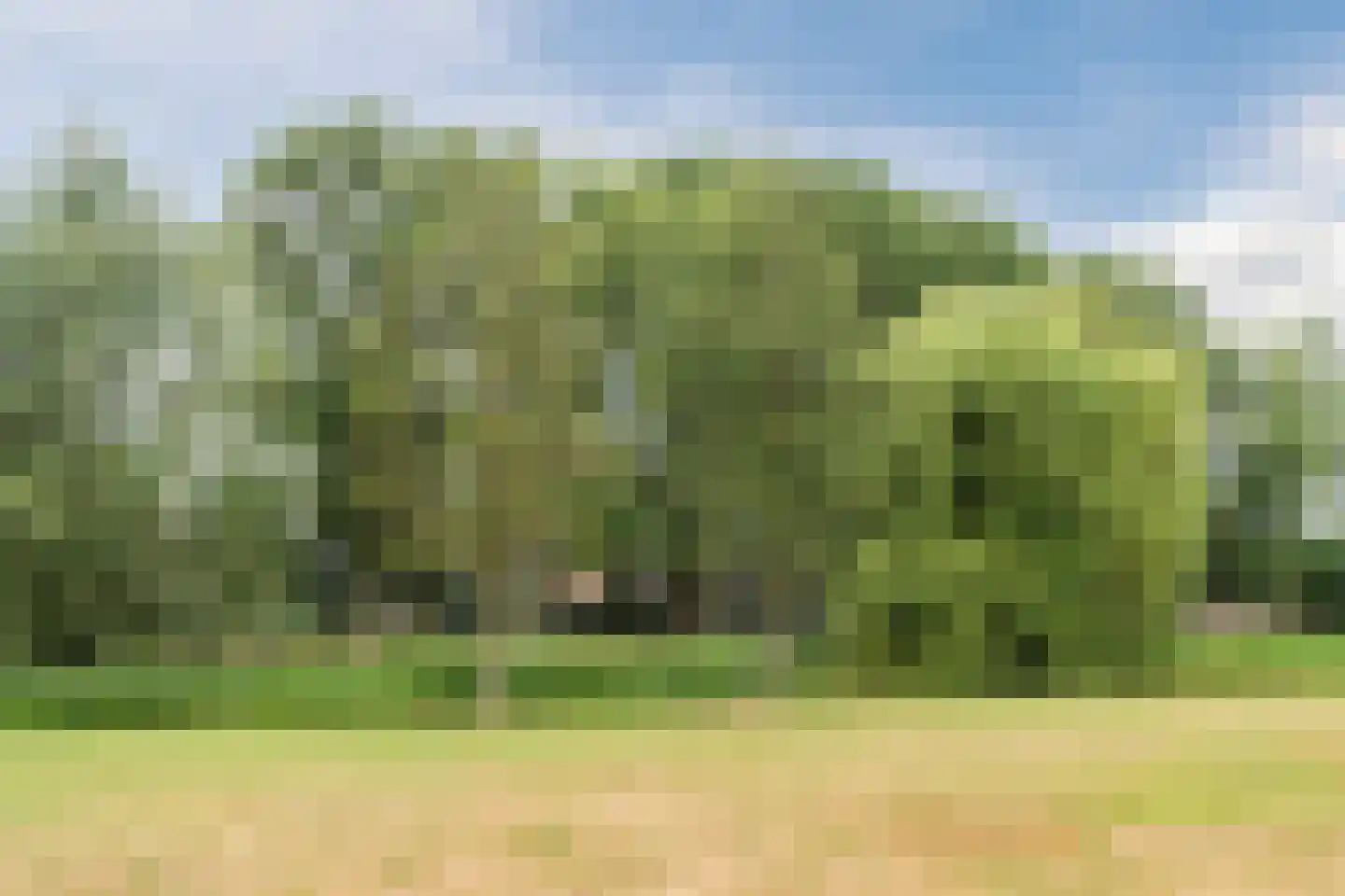 Icaruslaan 5 Eindhoven thumbnail 71