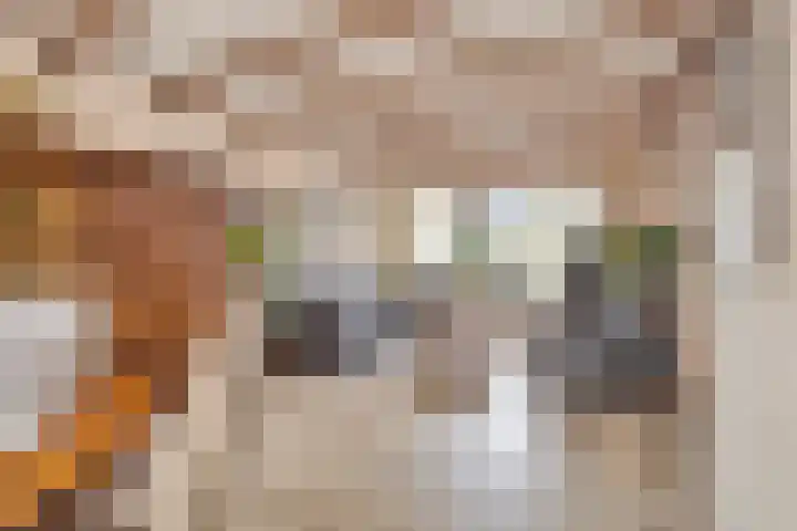 Icarusplantsoen 4 Volendam thumbnail 10