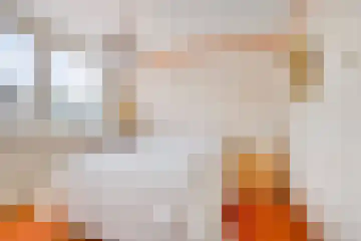 Icarusplantsoen 4 Volendam thumbnail 20
