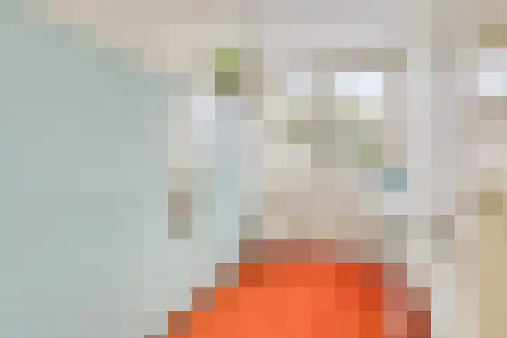 Icarusplantsoen 4 Volendam thumbnail 23
