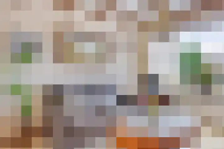 Icarusplantsoen 4 Volendam thumbnail 5