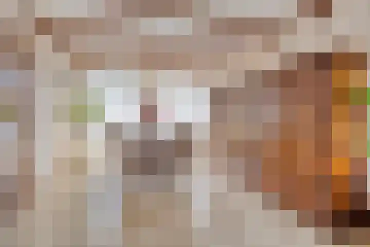Icarusplantsoen 4 Volendam thumbnail 8