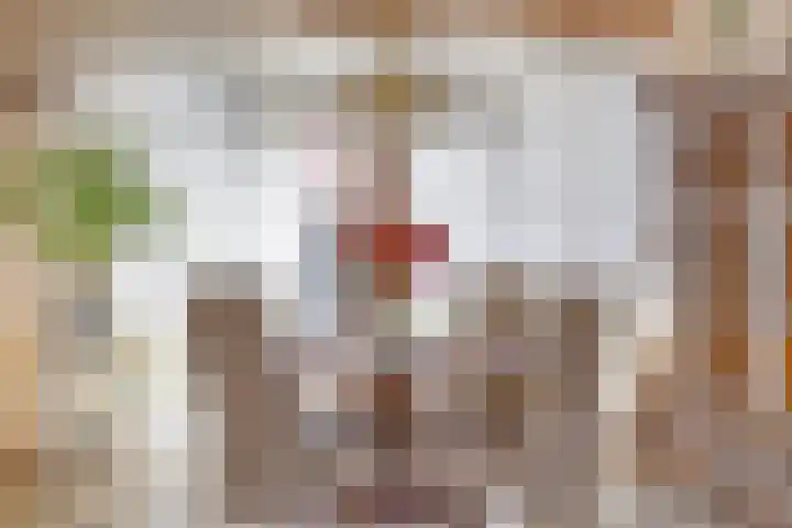 Icarusplantsoen 4 Volendam thumbnail 9