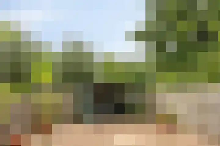 Ida Gerhardtlaan 15 Oegstgeest thumbnail 22