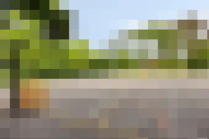 Ida Gerhardtlaan 15 Oegstgeest thumbnail 24