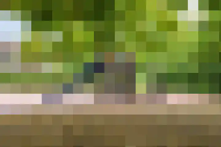 Ida Gerhardtlaan 15 Oegstgeest thumbnail 25
