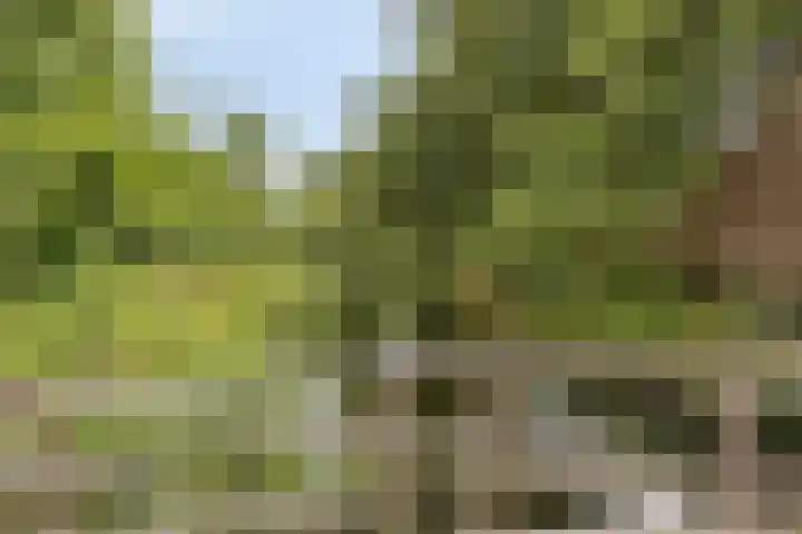 Ida Gerhardtlaan 15 Oegstgeest thumbnail 26