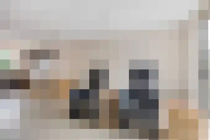 Ida Gerhardtlaan 15 Oegstgeest thumbnail 5
