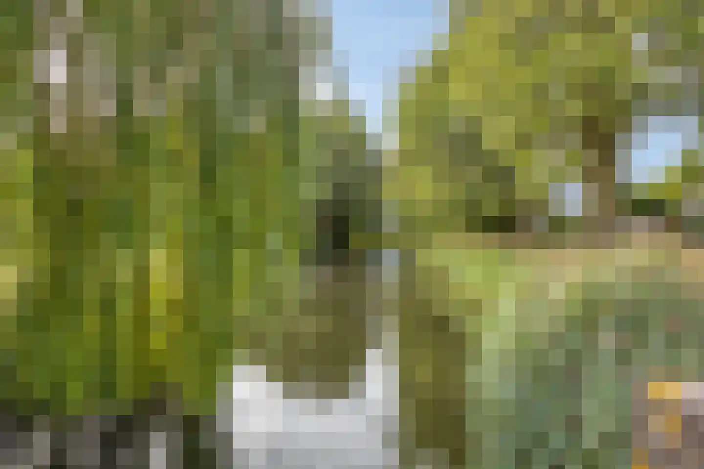 Ida Gerhardtlaan 22 Amstelveen thumbnail 30