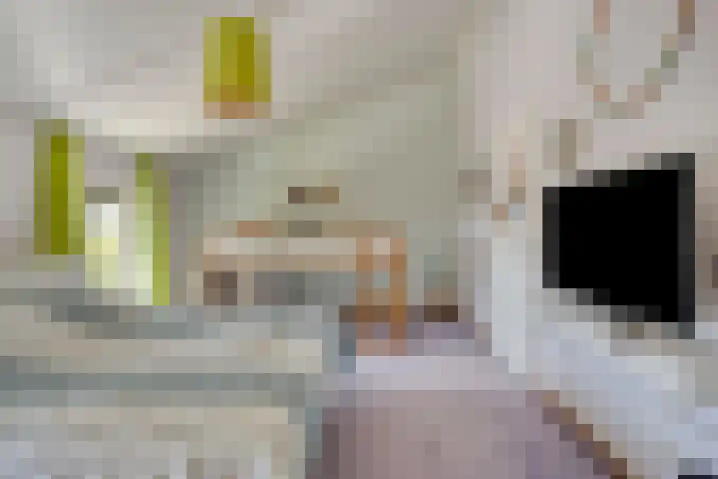 Ida Gerhardtlaan 23 Amstelveen thumbnail 21