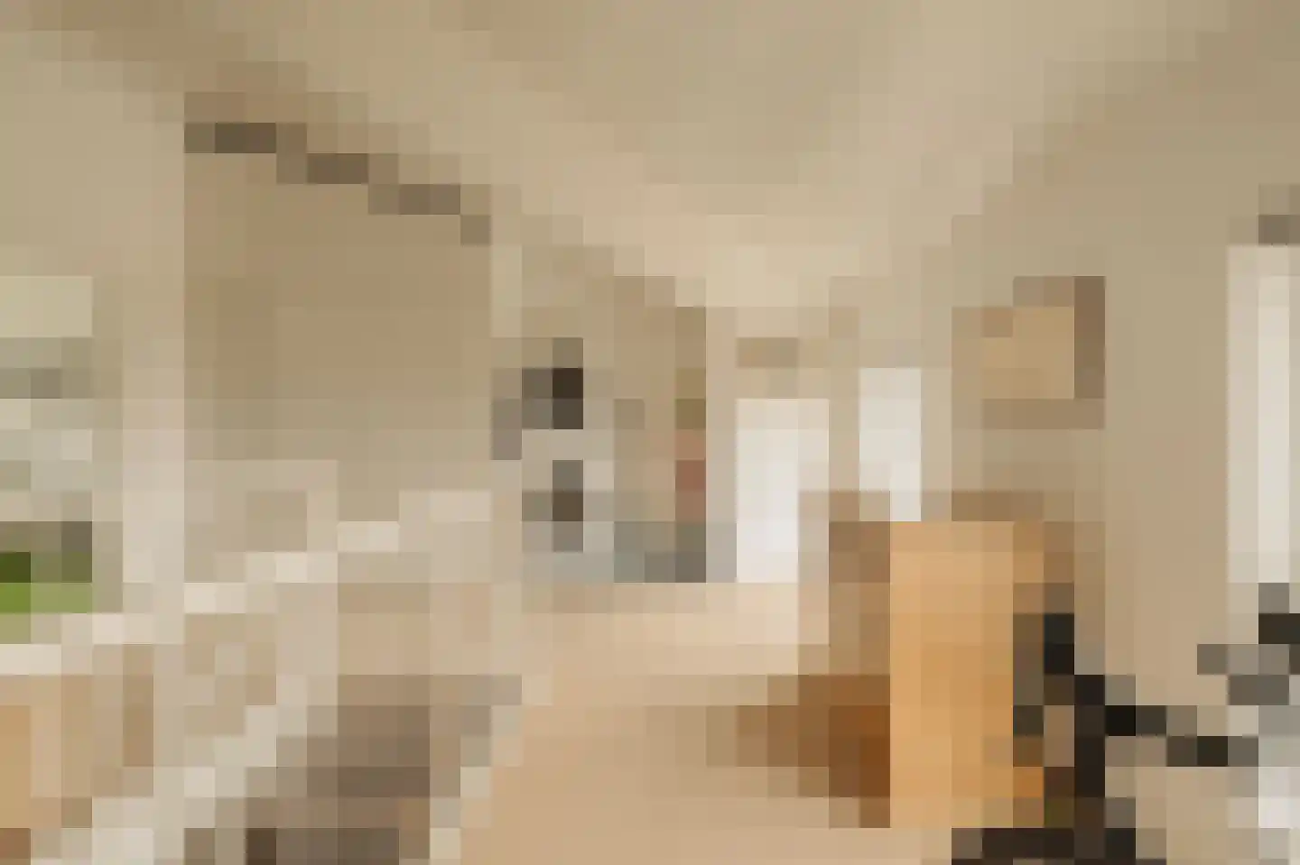 Ida Gerhardtlaan 39 Amstelveen thumbnail 35
