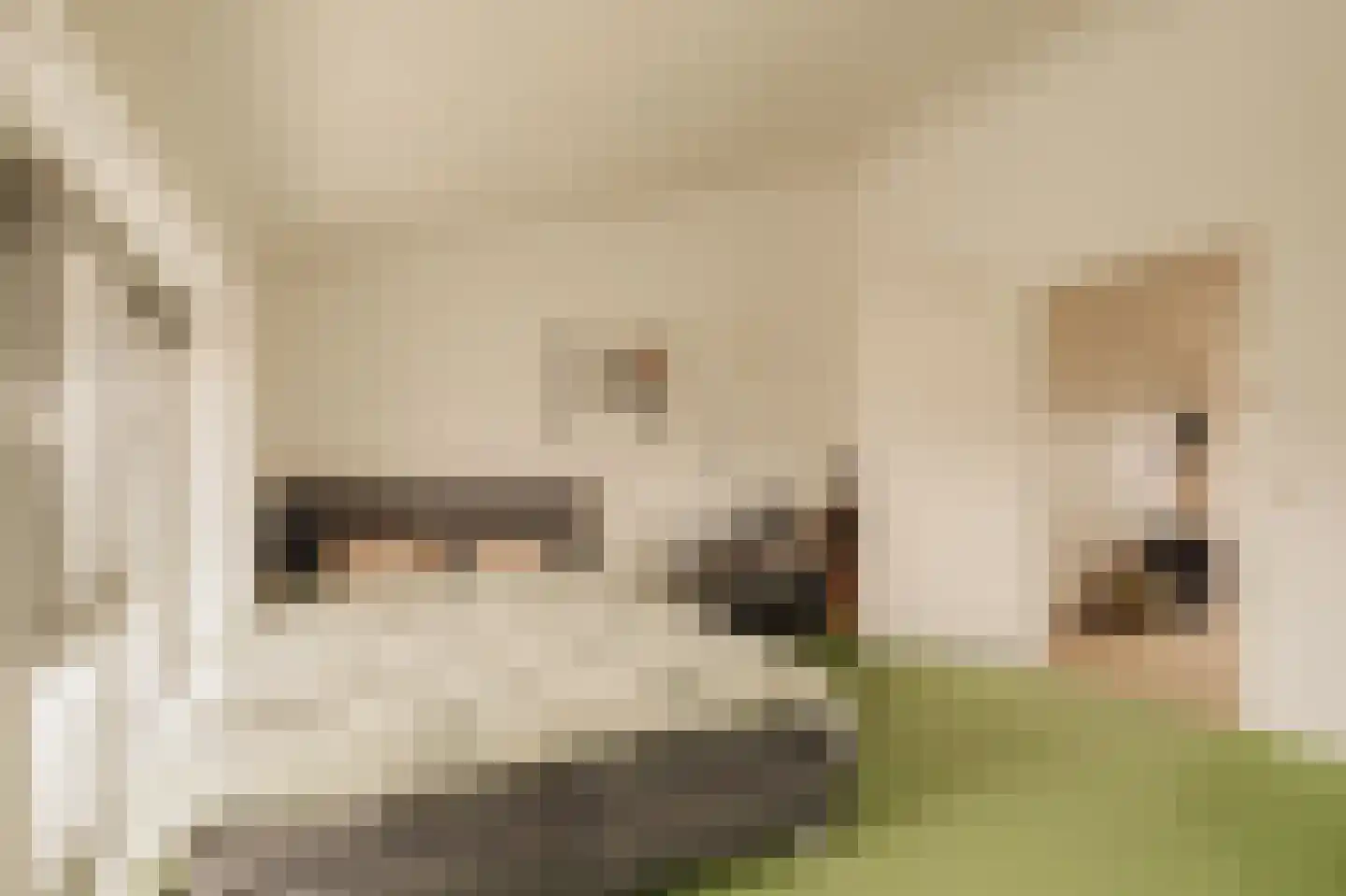 Ida Gerhardtlaan 39 Amstelveen thumbnail 37