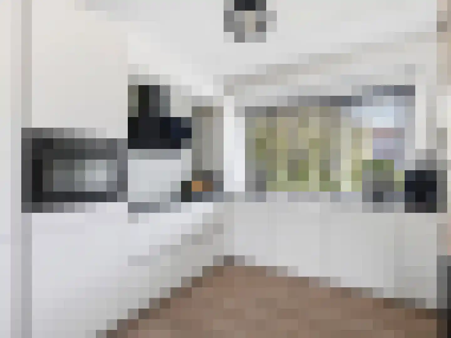Ida Gerhardtsingel 12 Zutphen thumbnail 11