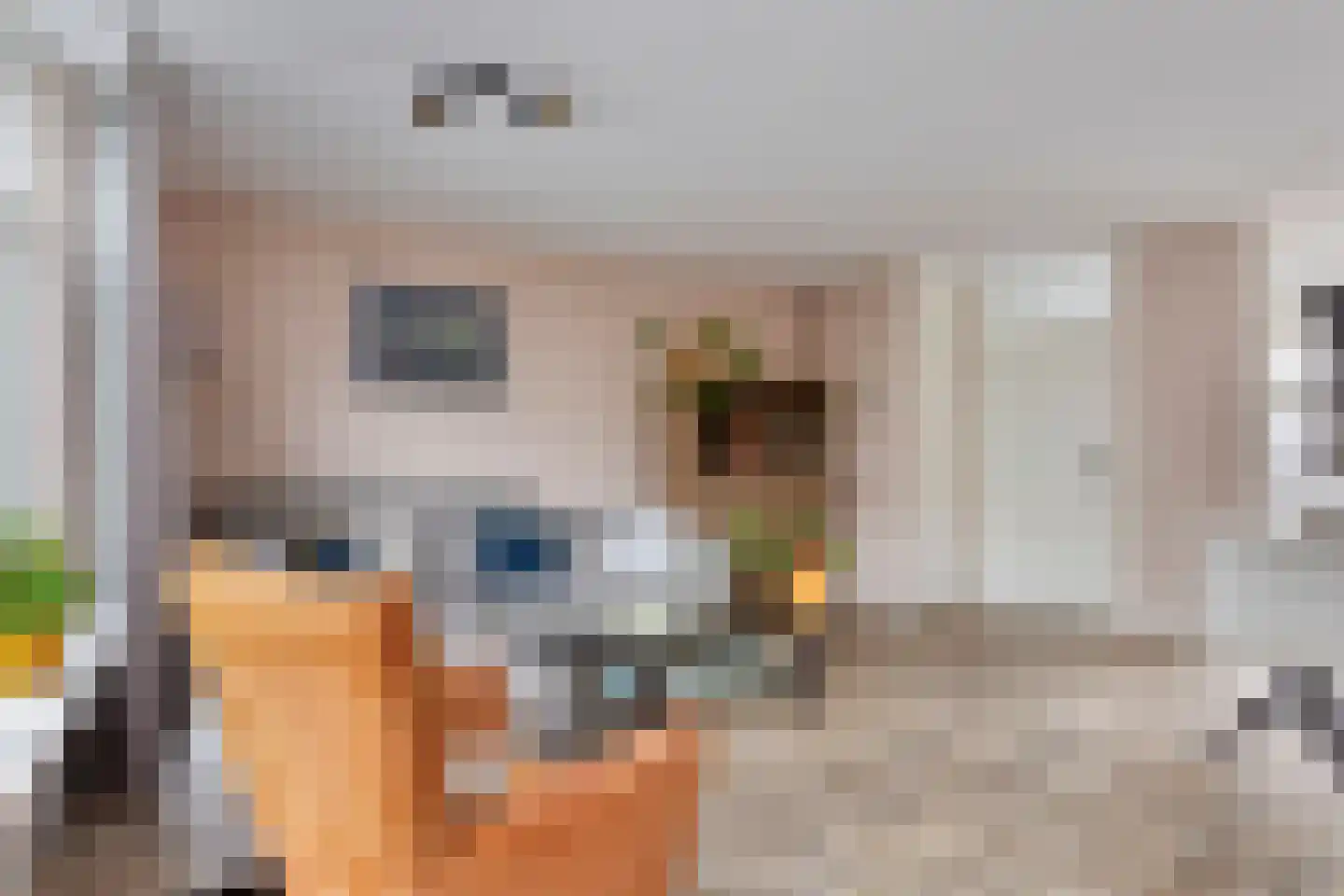 Ida Gerhardtsingel 147 Zutphen thumbnail 9