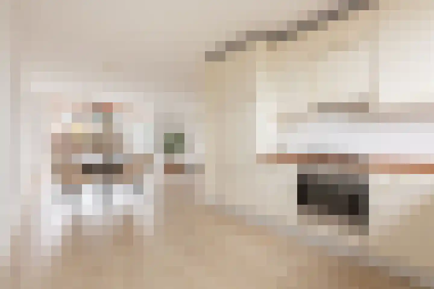 Ida Gerhardtsingel 71 Zutphen thumbnail 8