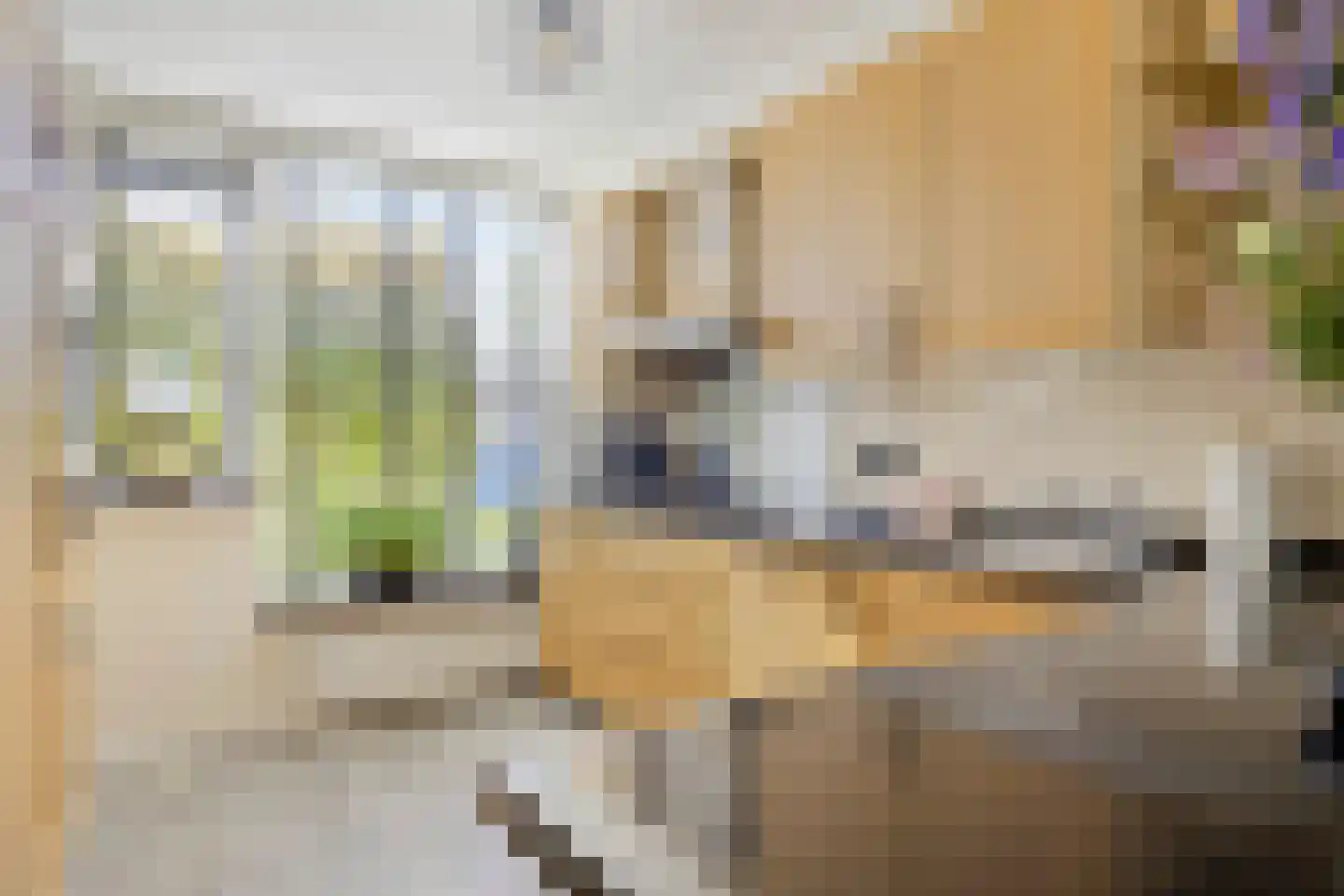 Ida Gerhardtsingel 79 Zutphen thumbnail 5