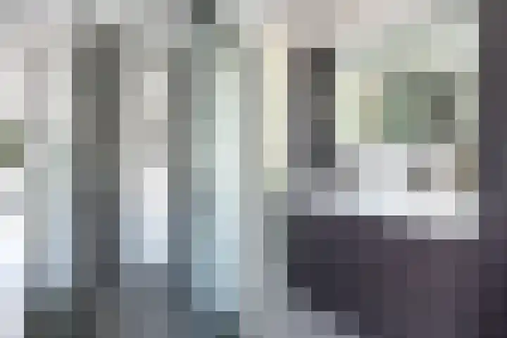 Ida Gerhardtsingel 80 Zutphen thumbnail 13