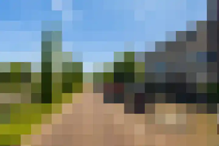 Ida Gerhardtsingel 80 Zutphen thumbnail 18