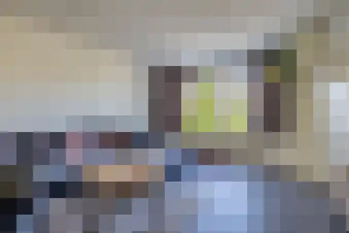 Ida Gerhardtsingel 80 Zutphen thumbnail 4