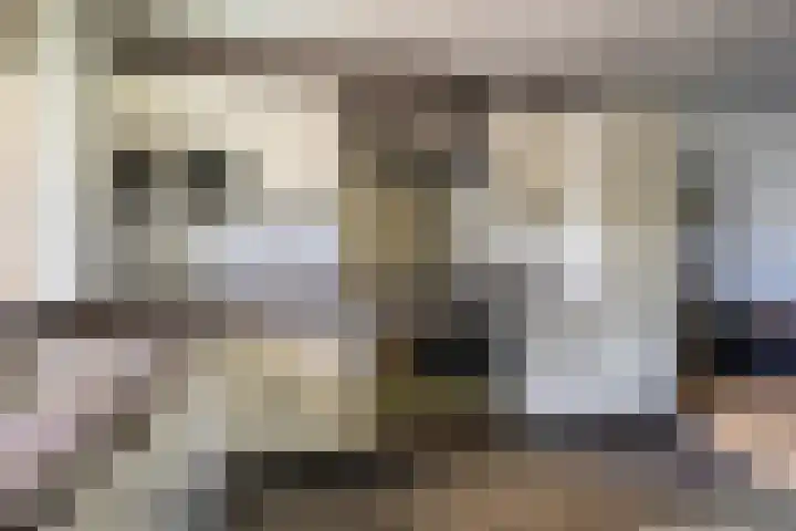 Ida Gerhardtsingel 80 Zutphen thumbnail 7