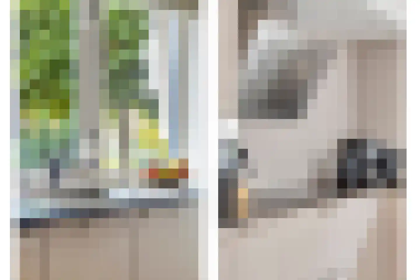 Ida Gerhardtstraat 11 Alkmaar thumbnail 17