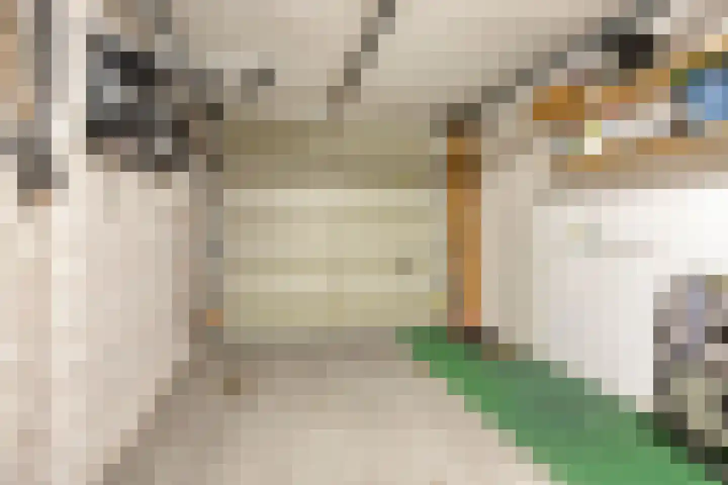 Ida Gerhardtstraat 11 Alkmaar thumbnail 37