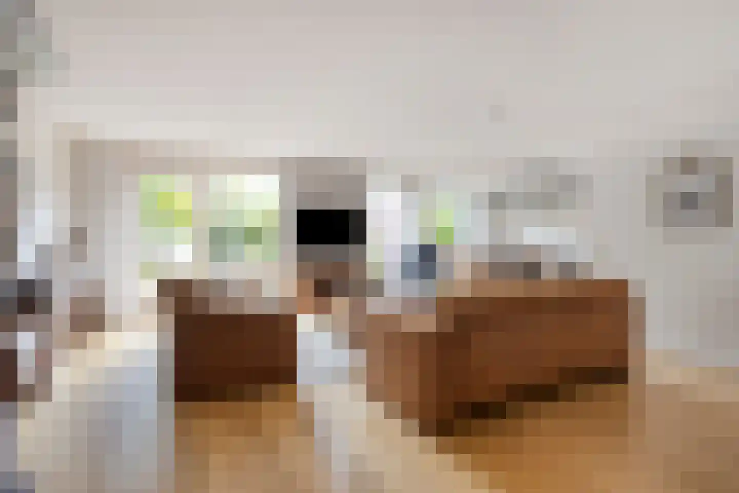 Ida Gerhardtstraat 11 Alkmaar thumbnail 9