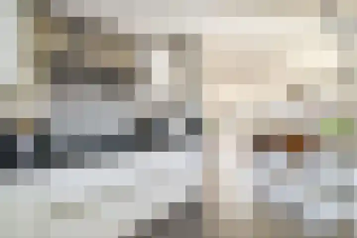 Ida Gerhardtstraat 15 Lisse thumbnail 15