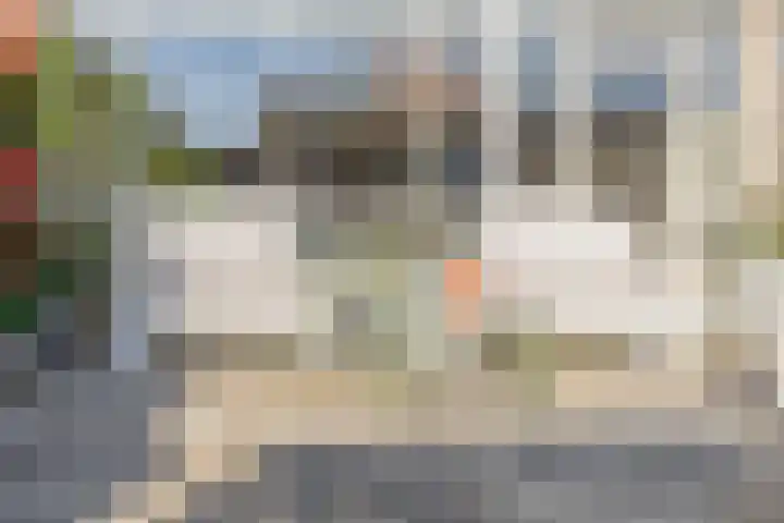 Ida Gerhardtstraat 15 Lisse thumbnail 22