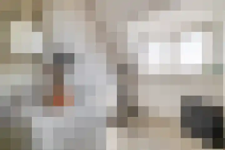 Ida Gerhardtstraat 15 Lisse thumbnail 30