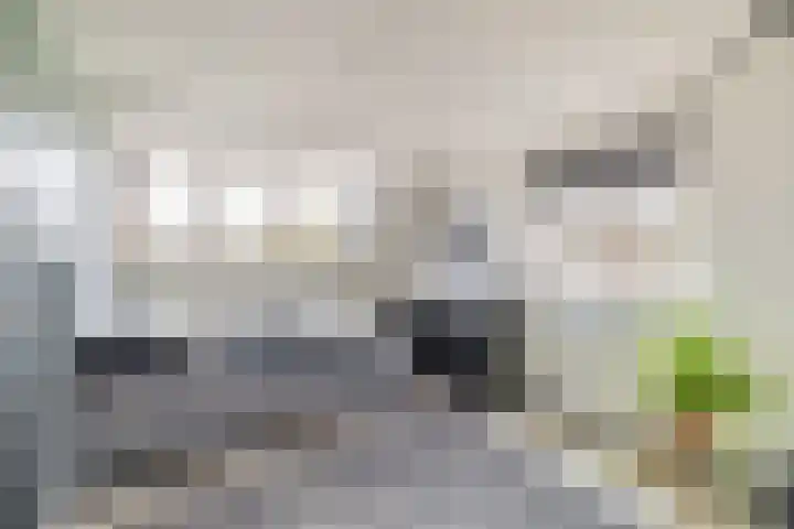 Ida Gerhardtstraat 15 Lisse thumbnail 32