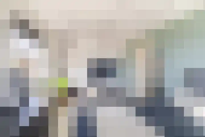 Ida Gerhardtstraat 15 Lisse thumbnail 33