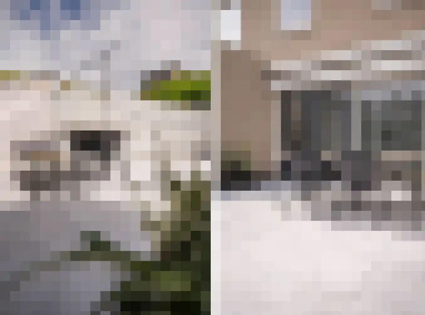 Ida Gerhardtstraat 22 Arnhem thumbnail 48