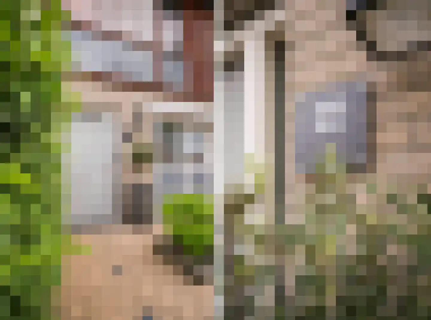 Ida Gerhardtstraat 22 Arnhem thumbnail 8