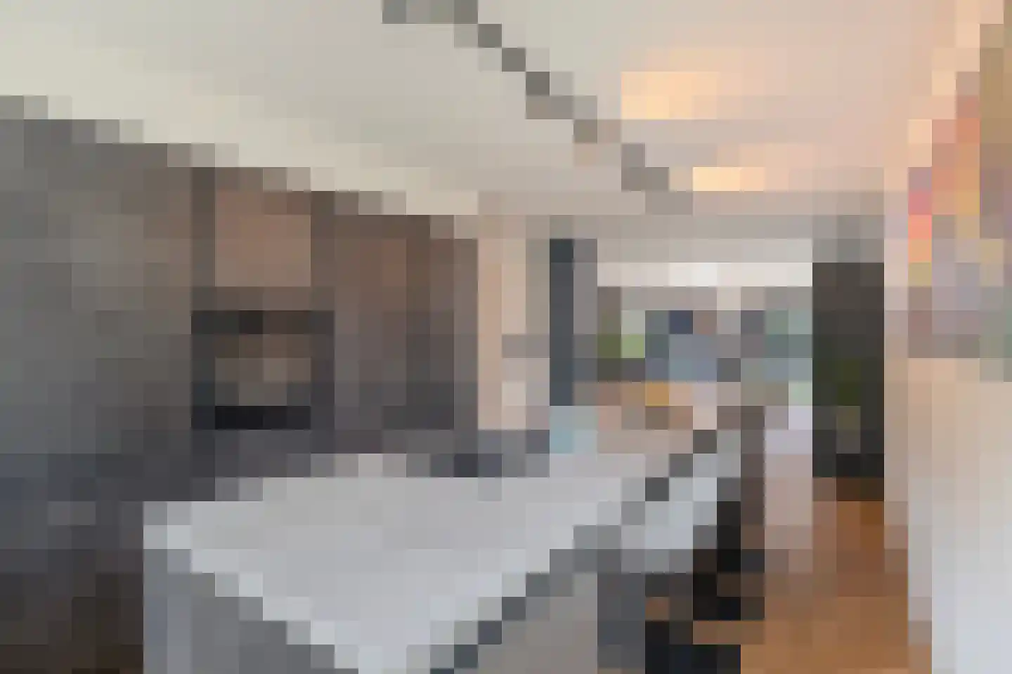 Ida Gerhardtstraat 36 Alkmaar thumbnail 20