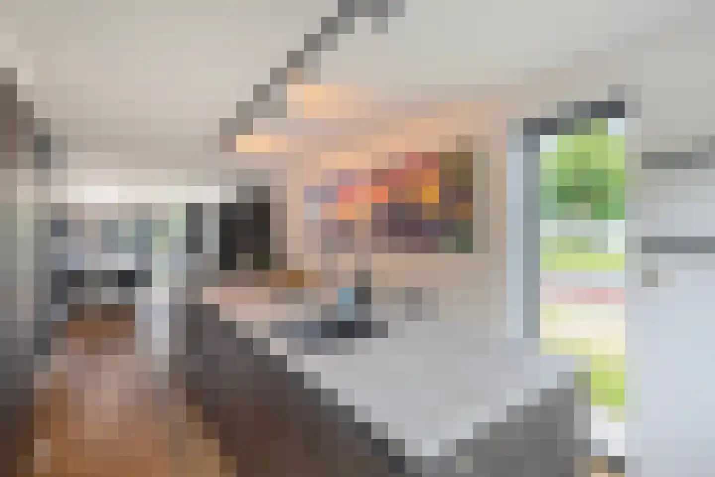 Ida Gerhardtstraat 36 Alkmaar thumbnail 21