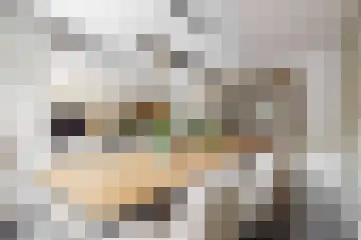 Ida Gerhardtstraat 87 Alkmaar thumbnail 14