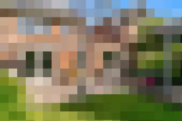 Ida Gerhardtstraat 87 Alkmaar thumbnail 37