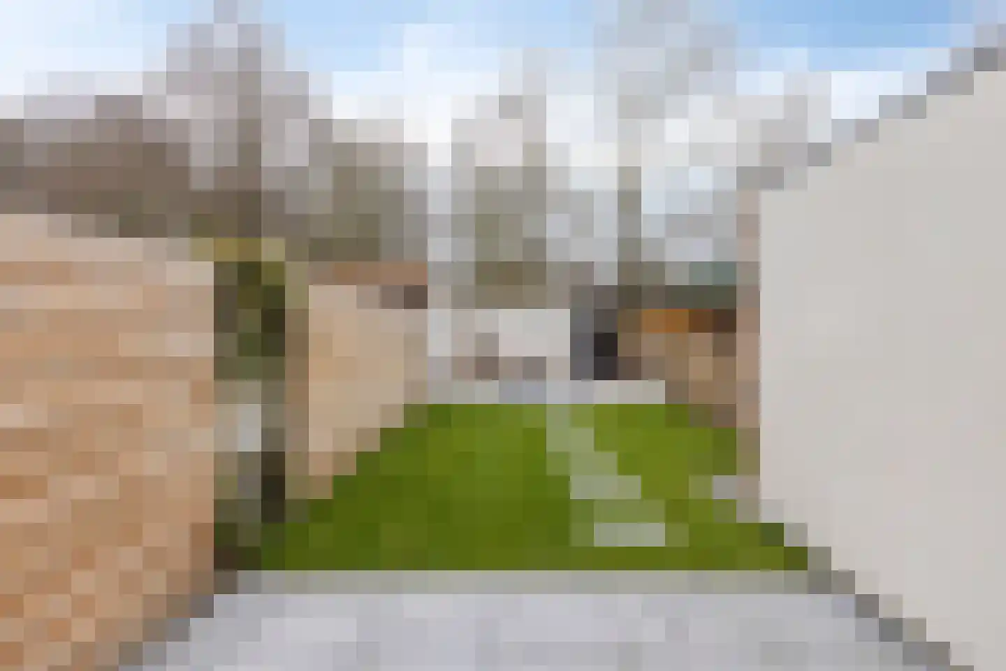 Ida Hoeve 37 Gouda thumbnail 26