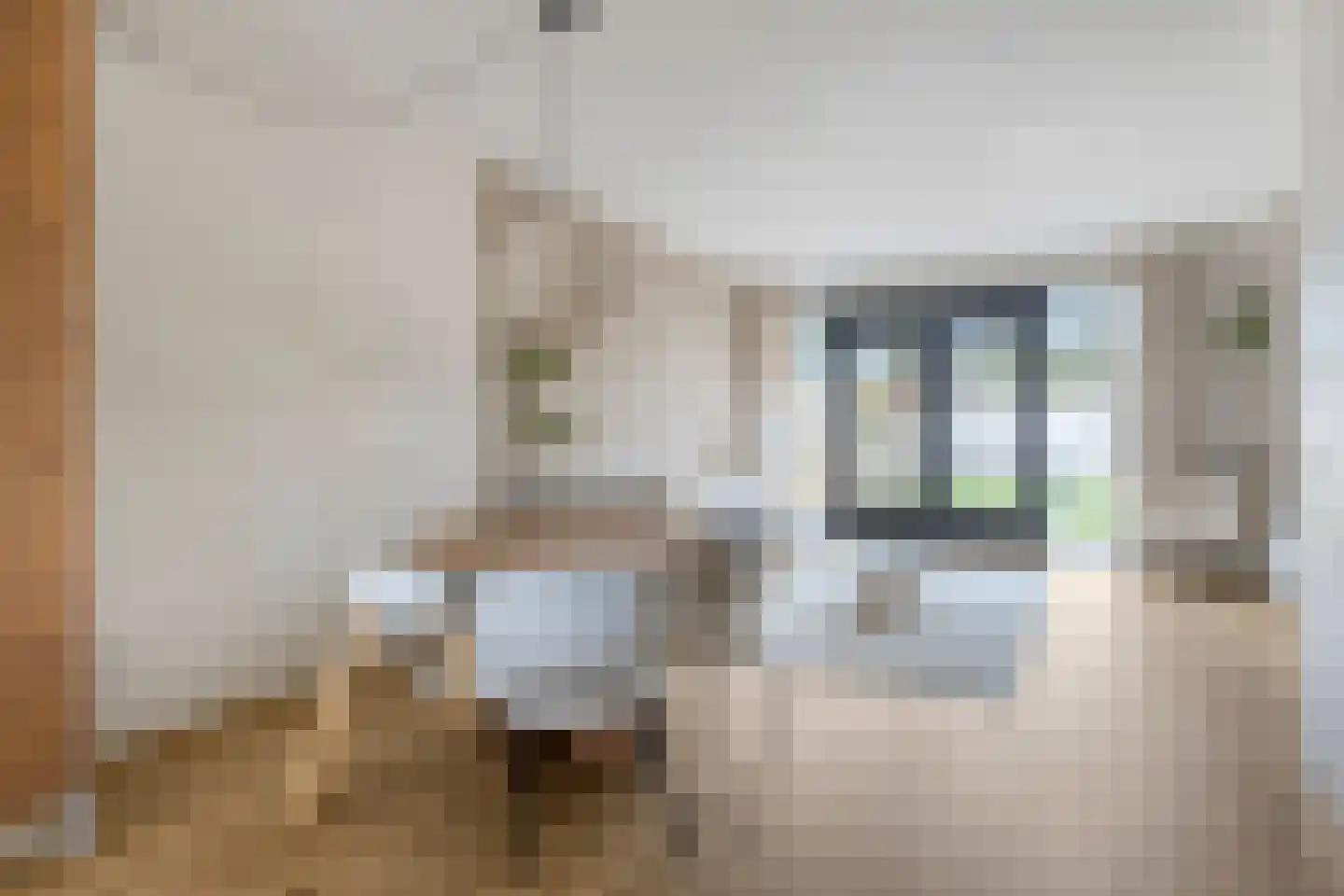 Ida Hoeve 37 Gouda thumbnail 8