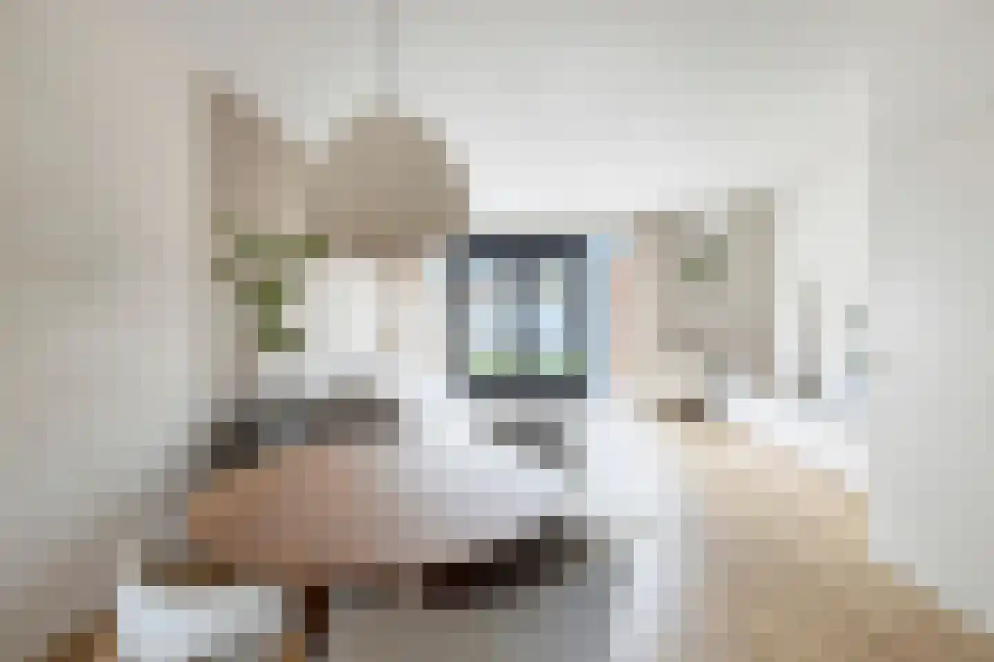 Ida Hoeve 37 Gouda thumbnail 9