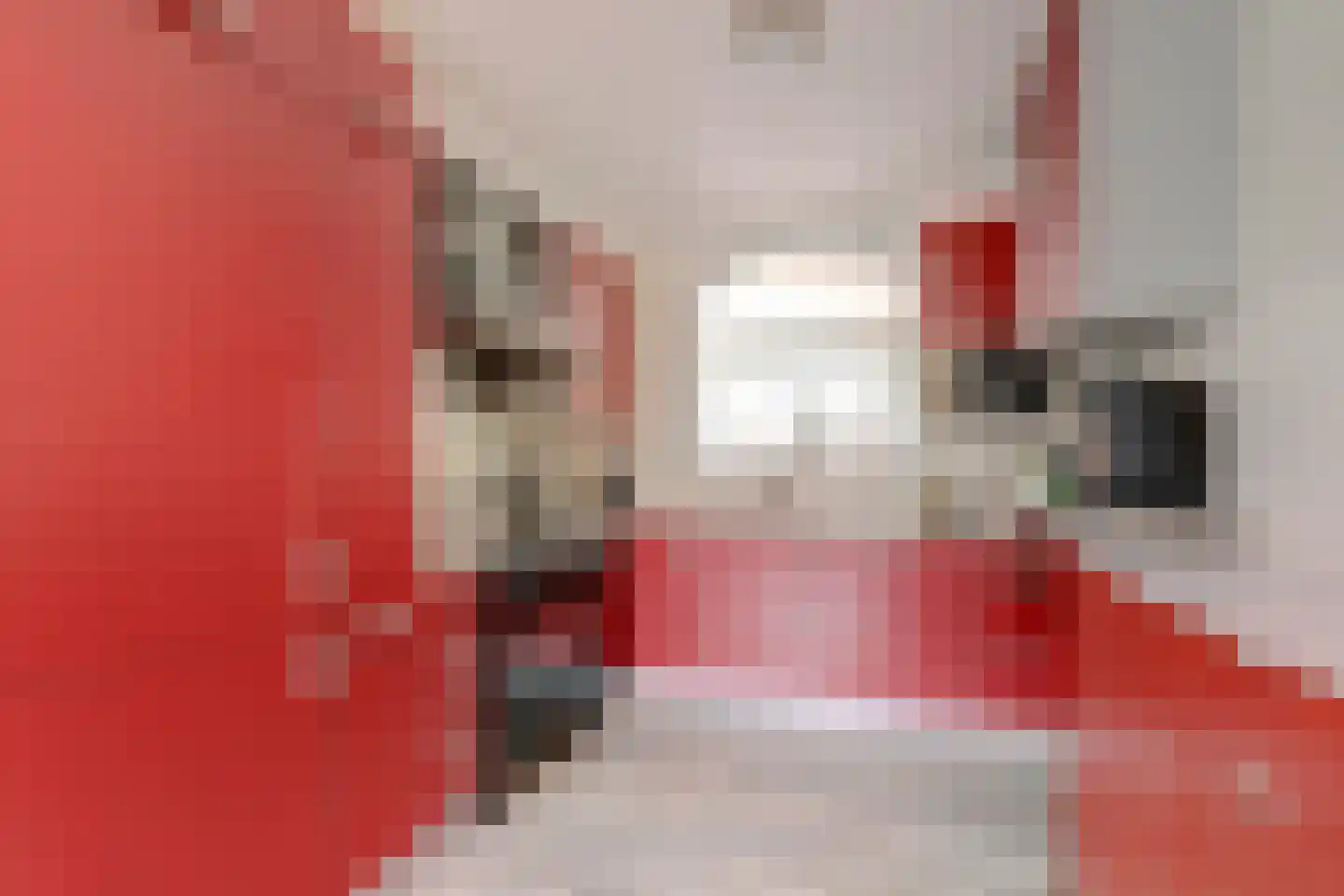 Ida Hoeve 4 Gouda thumbnail 18