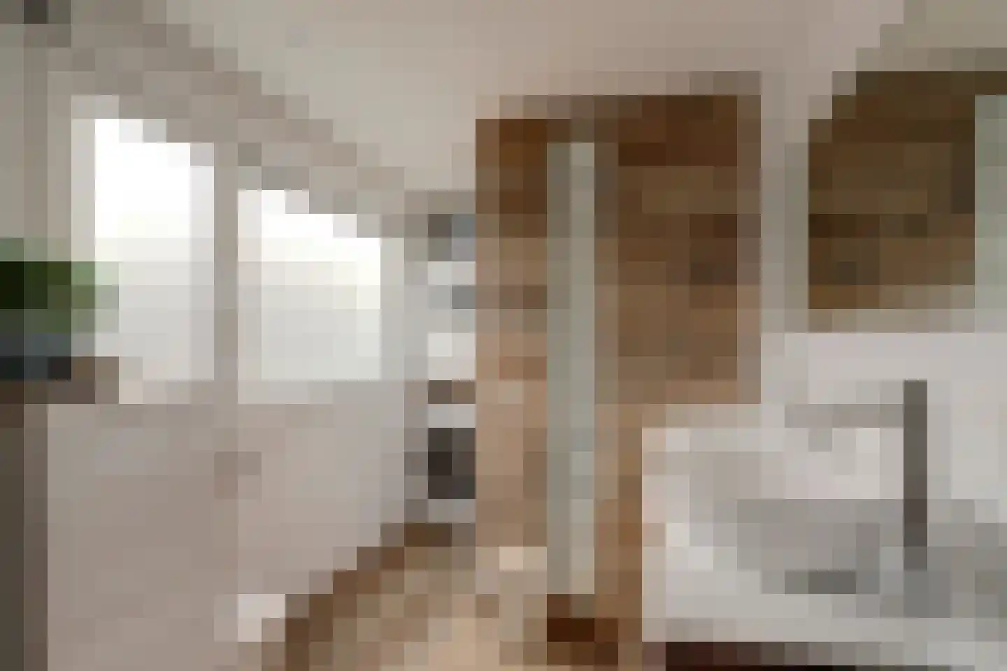 Ida Hoeve 4 Gouda thumbnail 24