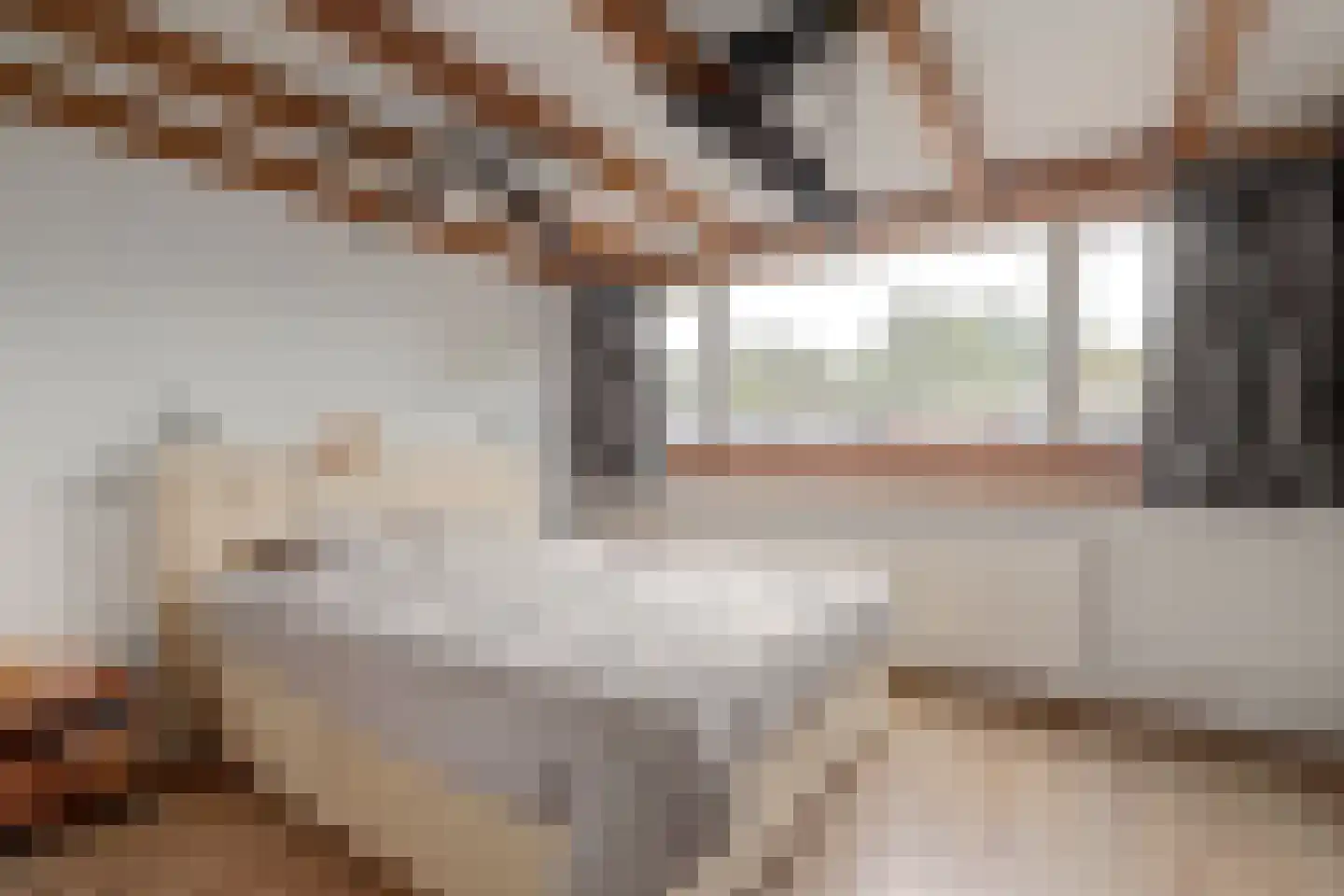 Ida Hoeve 4 Gouda thumbnail 26