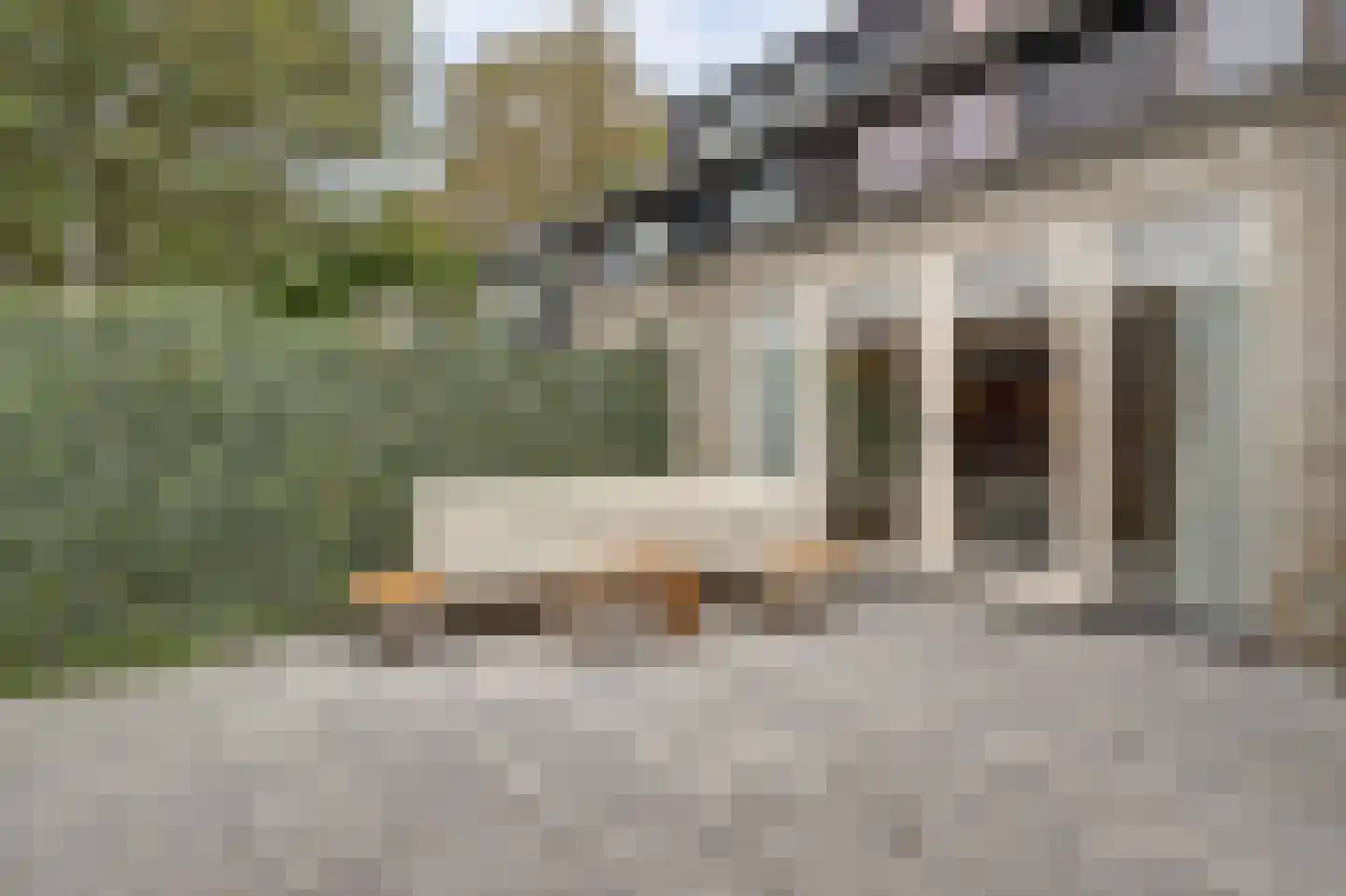 Ida Hoeve 4 Gouda thumbnail 29
