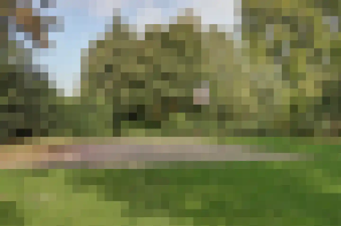Ida Hoeve 4 Gouda thumbnail 32